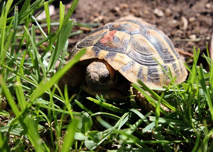 Studio 6178e Apartment Vodice